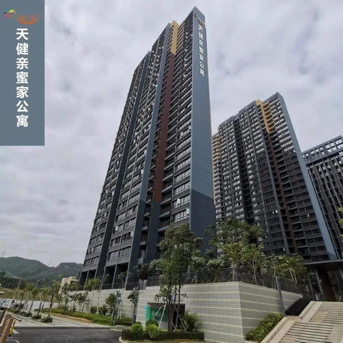 最低19元 m2 深圳多區(qū)公租房有好消息,快申請