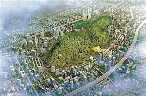 鐵仔山將成大灣區(qū)高科技產(chǎn)業(yè)新高地 深圳商報數(shù)字報