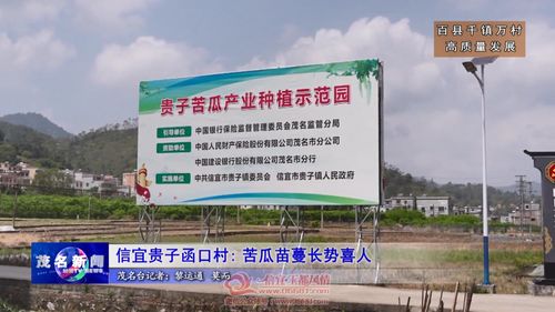 信宜這個(gè)鄉(xiāng)鎮(zhèn)大發(fā)展 公司 農(nóng)戶 合作社......目前正值春耕 在信宜市貴子鎮(zhèn)函口村田間,瓜農(nóng)們正在對該鎮(zhèn)的特色農(nóng)產(chǎn)品苦瓜進(jìn)行培育,苦瓜苗蔓長勢喜人 在貴子鎮(zhèn)函口村苦瓜種植基地里