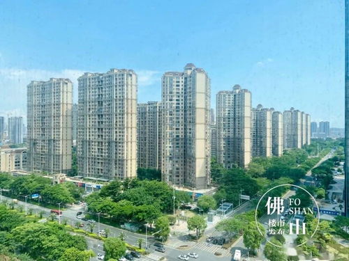 捂盤 捆綁銷售 囤房炒房等嚴(yán)查 順德開展房地產(chǎn)專項檢查
