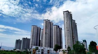 2014 2019年運(yùn)城市房地產(chǎn)開(kāi)發(fā)及銷(xiāo)售情況