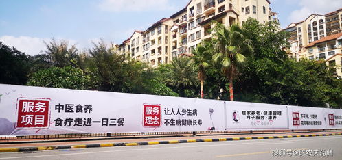 布局大健康產業(yè),構建高端康養(yǎng)服務體系