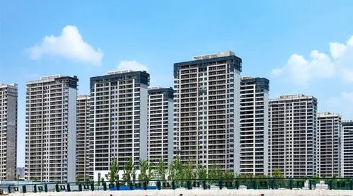 6月樓市或觸底 房地產多項指標回升,新房銷售年內首次環(huán)比增長,什么信號