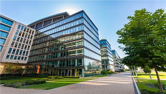 1月房企業(yè)績表現(xiàn)平穩(wěn) 部分企業(yè)增長放緩
