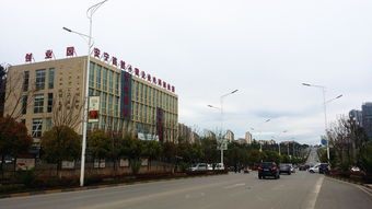 云南省農(nóng)業(yè)科學院科技產(chǎn)品電子商務營銷中心成立