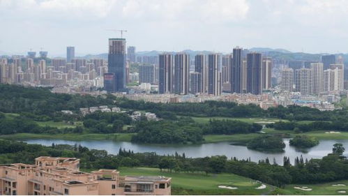 大灣區(qū)2024年1月深圳房地產(chǎn)項(xiàng)目銷售top10