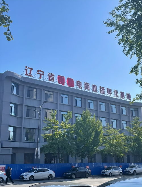全是劇本 東北雨姐銷售的紅薯粉條被市監(jiān)局調(diào)查,拍攝基地已人去樓空