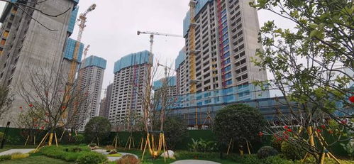 莆田與通遼市房地產(chǎn)行業(yè)調(diào)整營銷策略，暫停線下聚集性活動